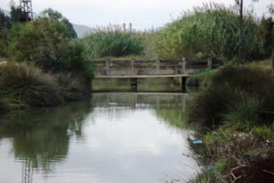 Περιβαλλοντική μελέτη για την προστασία του ποταμού Μορώνη