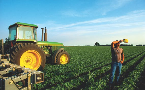 Αύξηση τζίρου 30% στα αγροτικά προϊόντα το 2011