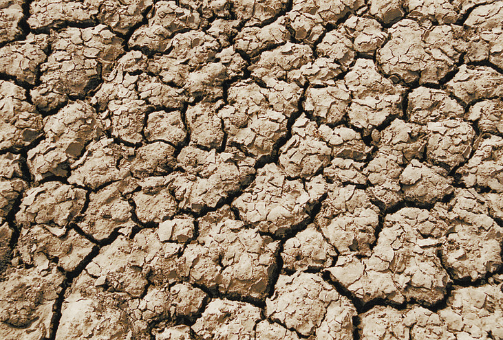 Αντιμέτωπες με ξηρασία και ερημοποίηση εδάφη της Μεσογείου