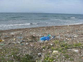 Όχι σκουπίδια, όχι πλαστικά σε θάλασσες και ακτές