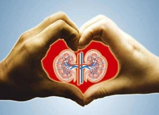 Πρωτιά Κροατίας στις μεταμοσχεύσεις καρδιάς και νεφρών