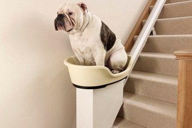 Ανελκυστήρας για υπέρβαρους σκύλους
