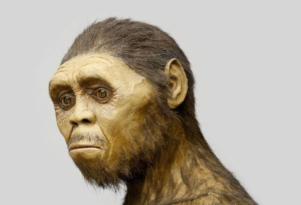 Το πληρέστερο εύρημα Homo erectus αποκαλύπτεται