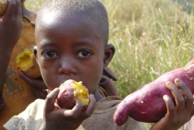 Στα πρόθυρα επισιτιστικής κρίσης η δυτική Αφρική λόγω Έμπολα