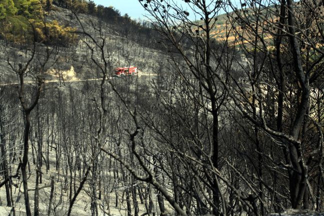 Πάνω από 500.000 στρέμματα κάηκαν φέτος το καλοκαίρι