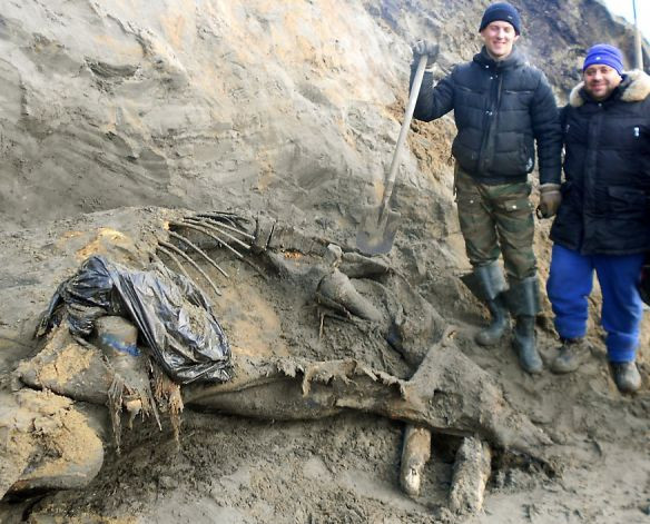 Εντεκάχρονος ανακάλυψε μαμούθ στη Σιβηρία