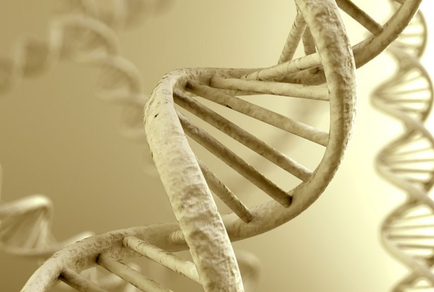 Τεστ ξεχωρίζει το DNA μονοζυγωτικών διδύμων