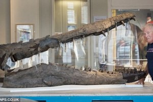Ανακαλύφθηκε γιγάντιο προϊστορικό τέρας 12 τόνων