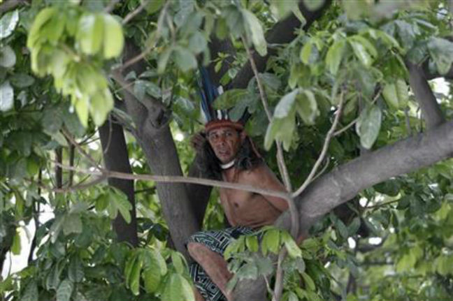 Μεγάλη επιχείρηση στη Βραζιλία για να κατεβάσουν από δέντρο ινδιάνο διαδηλωτή