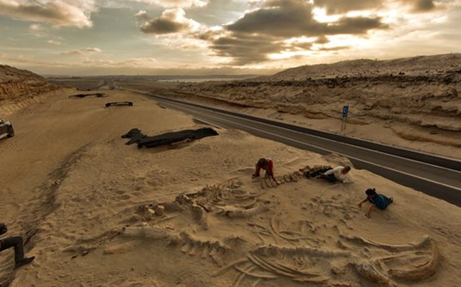 Νεκροταφείο φαλαινών δίπλα σε αυτοκινητόδρομο στη Χιλή!