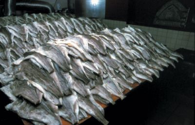 Υπερεκμετάλλευση αλιευμάτων σε Αιγαίο και Ιόνιο