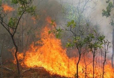 Φωτιά σε πλαγιά του Ταϋγέτου καίει δασική έκταση με χαμηλή βλάστηση