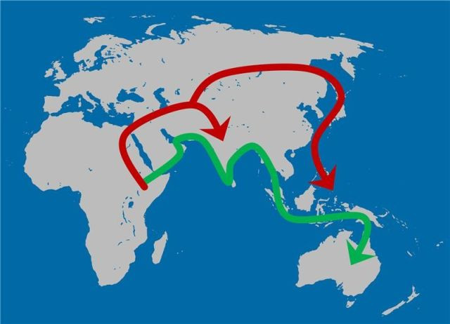 Πριν από 130.000 χρόνια άρχισαν οι μεταναστεύσεις των Ηomo sapiens
