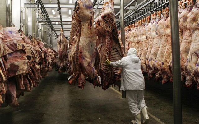 «Μόνο σε εγκεκριμένες εγκαταστάσεις οι θανατώσεις ζώων για ανθρώπινη κατανάλωση»