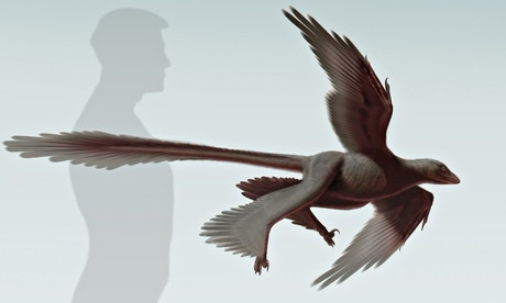 Νεός δεινόσαυρος με φτερά ανακαλύφθηκε στην Κίνα