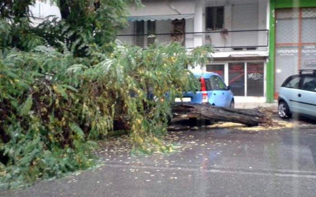 Δέντρο ξεριζώθηκε στη Θεσσαλονίκη λόγω της βροχόπτωσης