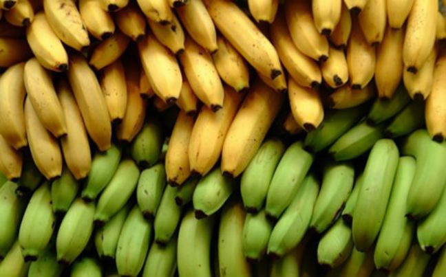 Δεσμεύτηκε μισός τόνος μπανάνες στον Πειραιά