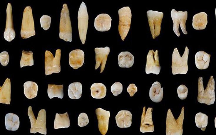 Απολιθώματα δοντιών «ξαναγράφουν» την ιστορία των ανθρώπων