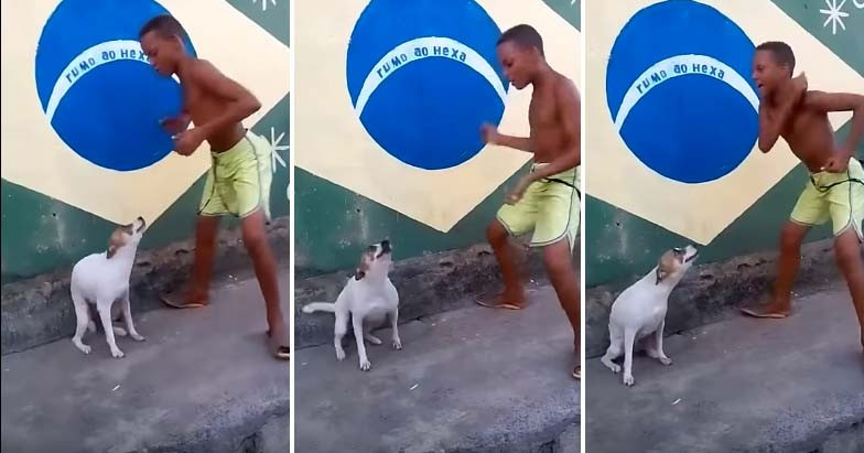 Έτσι ξεχωρίζει ο σκύλος από τη Βραζιλία