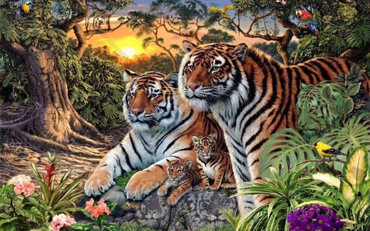 Πόσες τίγρεις κρύβονται σε αυτή την εικόνα