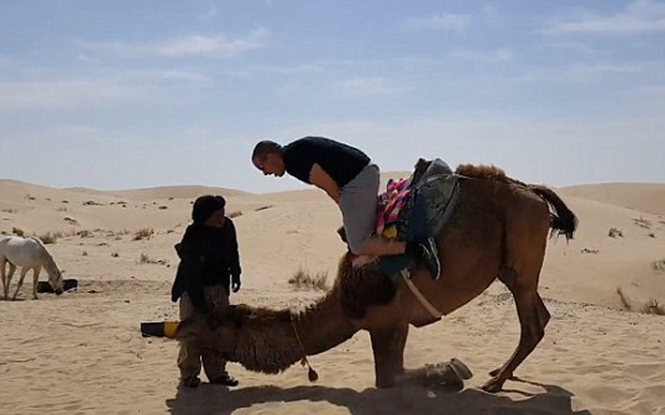 Ποτέ μην εμπιστεύεσαι μία καμήλα