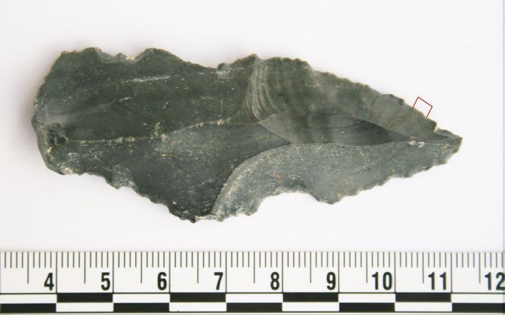 Ανακαλύφθηκαν τα αρχαιότερα στον κόσμο ζωικά ίχνη πάνω σε λίθινα εργαλεία