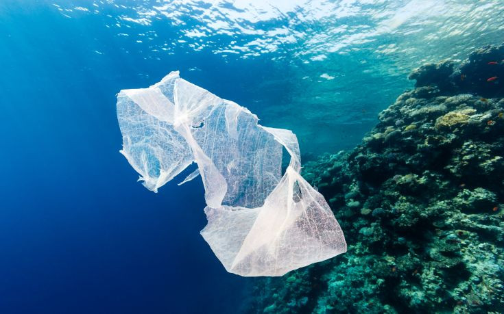 «Θανάσιμη απειλή» η πλαστική σακούλα για τη θαλάσσια ζωή