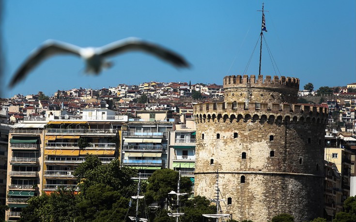 Ένα έντομο προσβάλλει τα δέντρα στο κέντρο της Θεσσαλονίκης