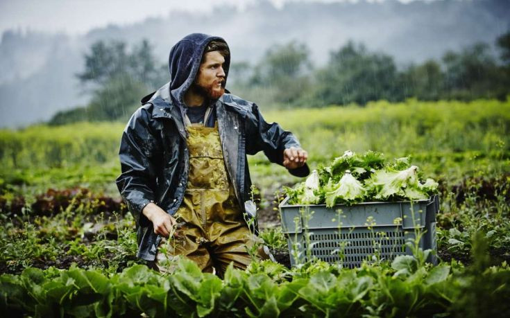 Μητσοτάκης: Απαλλάσσονται από το τέλος επιτηδεύματος οι αγρότες που μετρούν πενταετία ένταξης στο ΦΠΑ