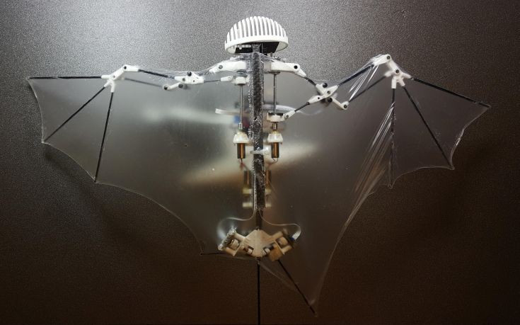 Κατασκευάστηκε το πρώτο ρομπότ-νυχτερίδα