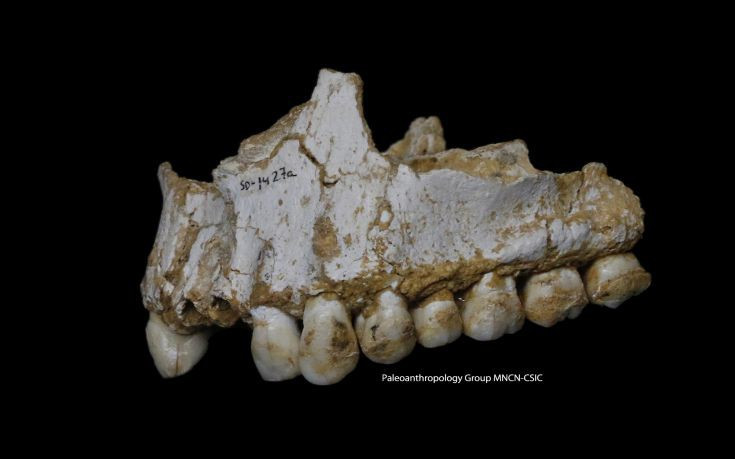 Ανακαλύφθηκε σε παιδικά δόντια 250.000 ετών η παλαιότερη έκθεση σε μόλυβδο