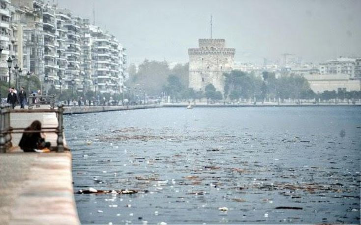 Αστυνομικός της ομάδας «Ζ» έσωσε άνδρα που έπεσε στο Θερμαϊκό