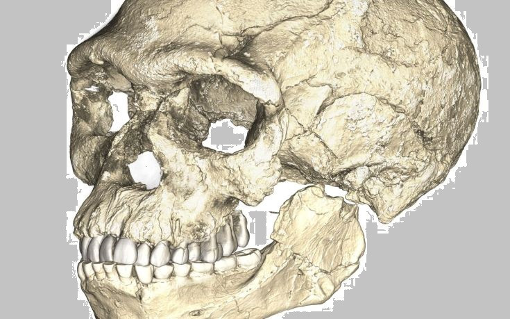 Οι πρώτοι του είδους μας έχουν ηλικία τουλάχιστον 300.000 χρόνων