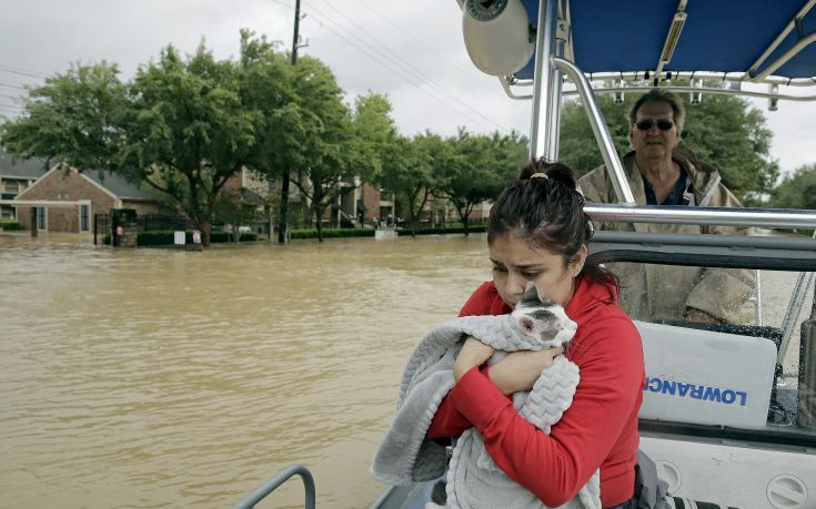 Κουβαλούν στις αγκαλιές τους τα ζώα για να τα σώσουν από τον τυφώνα