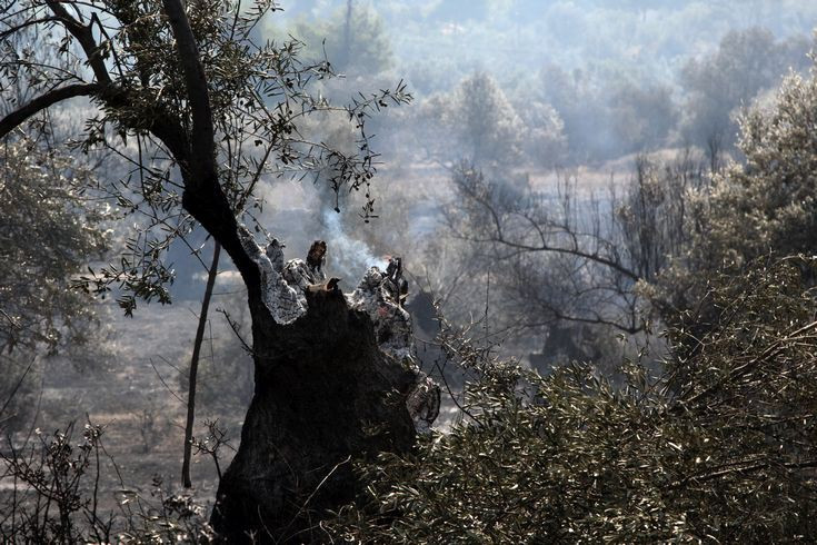Μαίνεται η μεγάλη πυρκαγιά στον Αποκόρωνα Χανίων