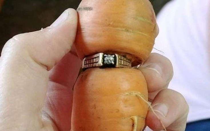 Δαχτυλίδι χαμένο 13 χρόνια ανακαλύφθηκε σφηνωμένο σε ένα καρότο