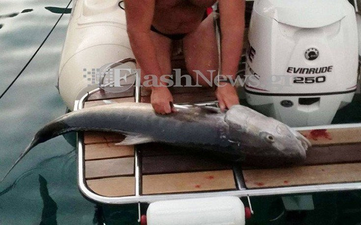 Χανιώτης σήκωσε ψάρι 30 κιλών από το βυθό στο Λουτρό Σφακίων