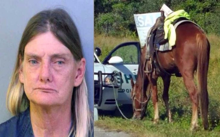 Συνελήφθη γιατί οδηγούσε μεθυσμένη ένα… άλογο