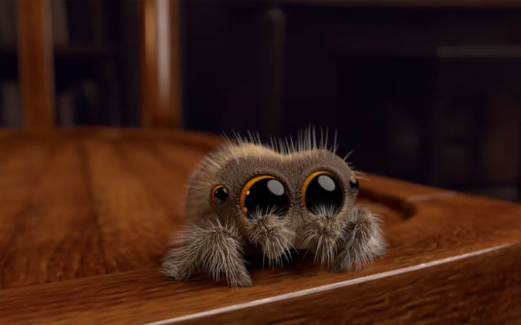 Το animation που θα σας κάνει να λατρέψετε τις… αράχνες