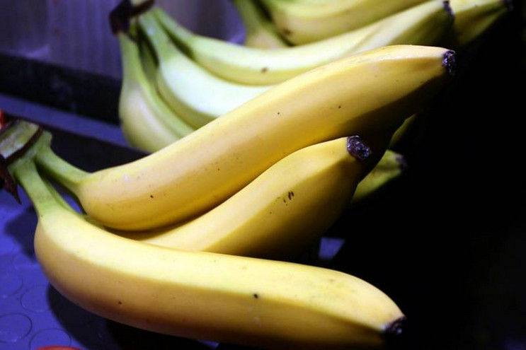 Το κοντέινερ με τις μπανάνες έκρυβε εκπλήξεις