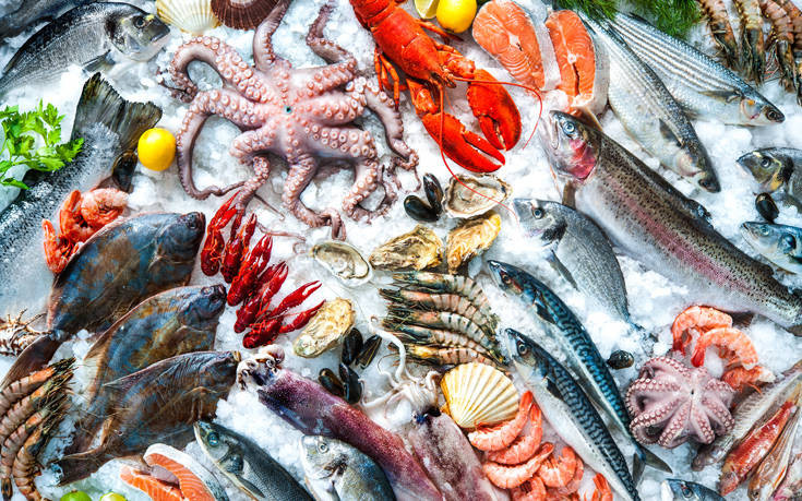 Δεκαπέντε λόγοι για να τρώμε θαλασσινά