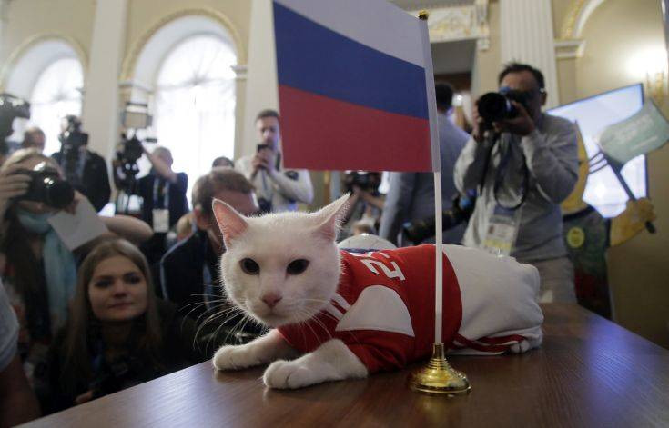 Ο Αχιλλέας ο γάτος προβλέπει νίκη της Ρωσίας στον πρώτο αγώνα του Παγκοσμίου Κυπέλλου