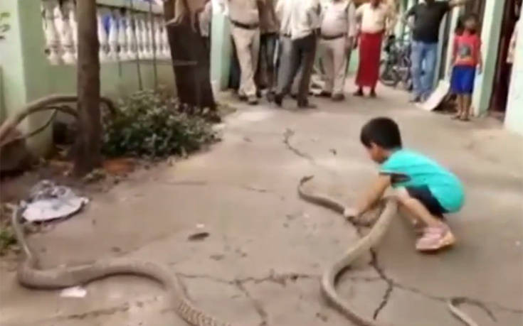 Δείτε ένα τρίχρονο αγόρι να παίζει με τα δύο… φίδια του