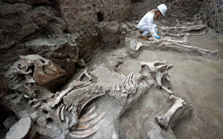 Απολιθωμένο άλογο με χαλινάρια βρέθηκε στα ερείπια βίλας στην Πομπηία