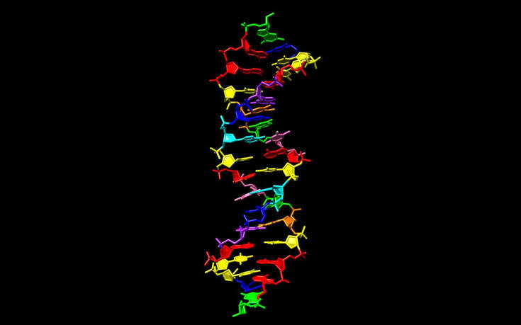Επαναστατική δημιουργία DNA με οκτώ χημικά «γράμματα»