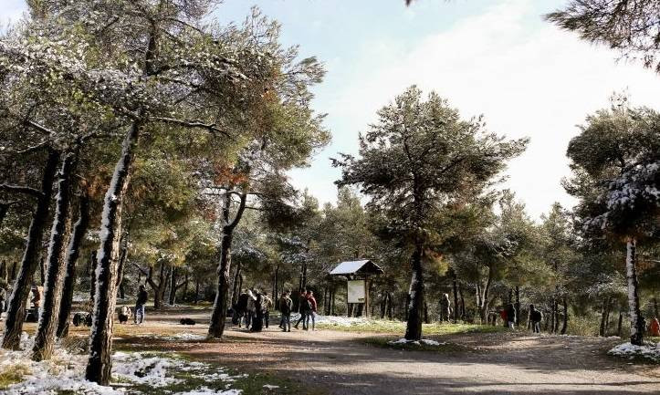 Επιτρέπεται ξανά η κυκλοφορία στα δάσος του Σέιχ Σου και του Χορτιάτη στη Θεσσαλονίκη