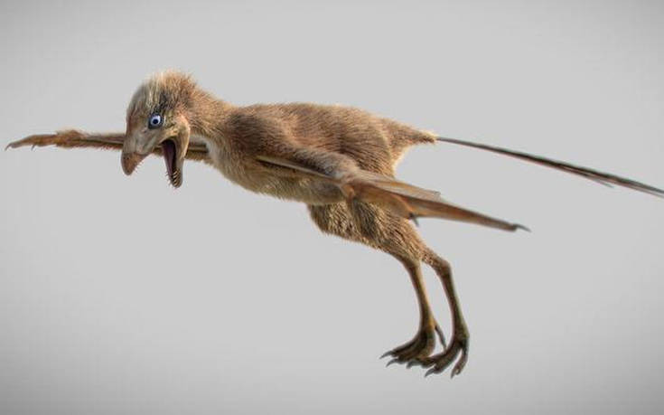 Ανακαλύφθηκε δεινόσαυρος με φτερά νυχτερίδας