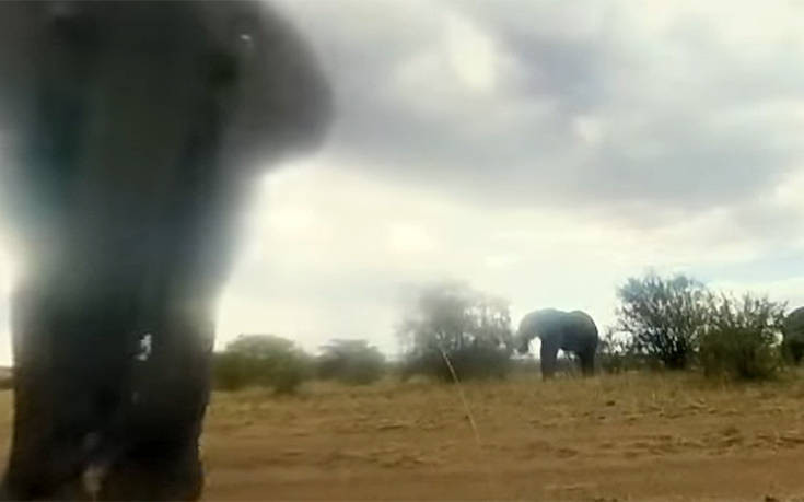 Ένας ελέφαντας πήρε χαμπάρι μια κρυφή κάμερα και εκνευρίστηκε πολύ