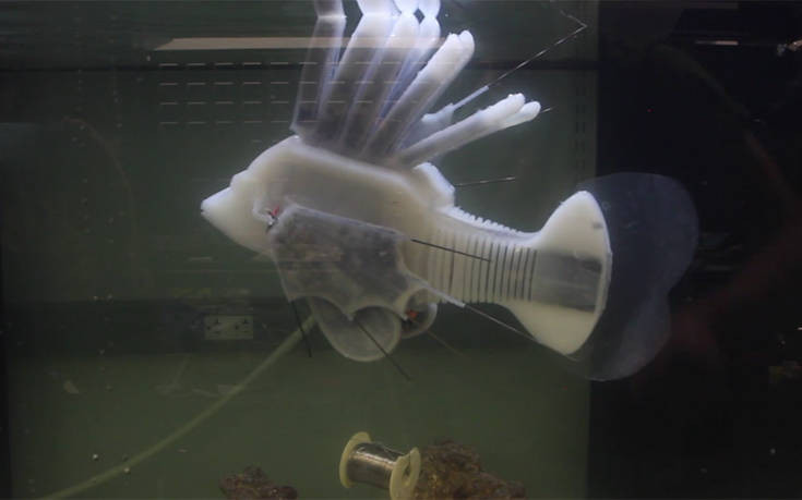 Έφτιαξαν ρομποτικό ψάρι που κινείται με συνθετικό αίμα