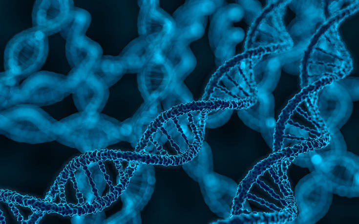 Η «κληρονομιά» των Νεάτερνταλ στο DNA και ο αυξημένος κίνδυνος για Covid-19